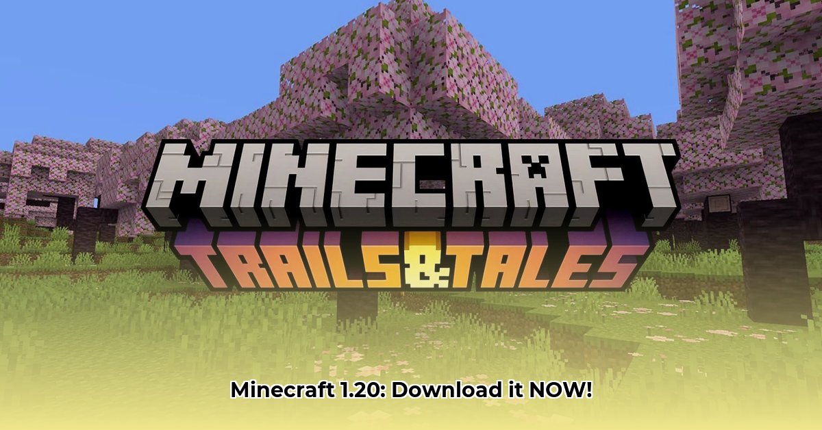 minecraft-download-new-version-2024-download-1-20
